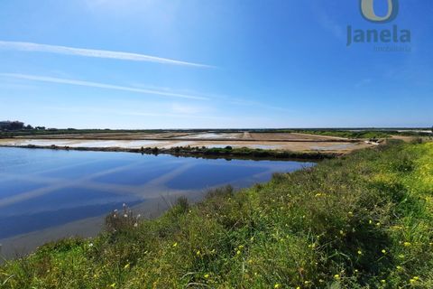 Farm i Olhao, Faro, Olhao - € 1.200.000 | Ref: QTA3750 - foto 3