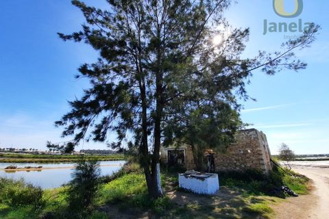 Farm i Olhao, Faro, Olhao - € 1.200.000 | Ref: QTA3750 - foto 4