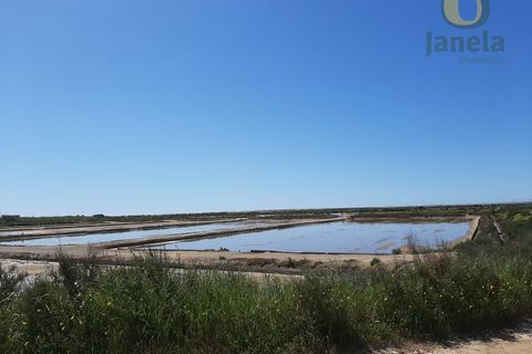 Farm i Olhao, Faro, Olhao - € 1.200.000 | Ref: QTA3750 - foto 5