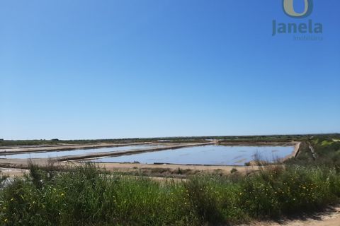 Farm i Olhao, Faro, Olhao - € 1.200.000 | Ref: QTA3750 - foto 7
