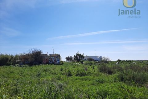 Farm i Olhao, Faro, Olhao - € 1.200.000 | Ref: QTA3750 - foto 8