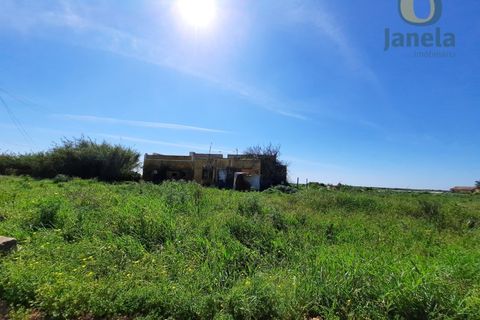 Farm i Olhao, Faro, Olhao - € 1.200.000 | Ref: QTA3750 - foto 10