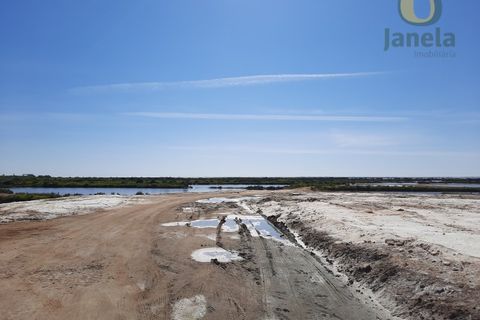 Farm i Olhao, Faro, Olhao - € 1.200.000 | Ref: QTA3750 - foto 11
