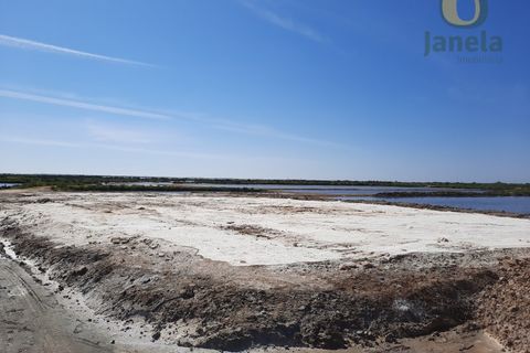 Farm i Olhao, Faro, Olhao - € 1.200.000 | Ref: QTA3750 - foto 12