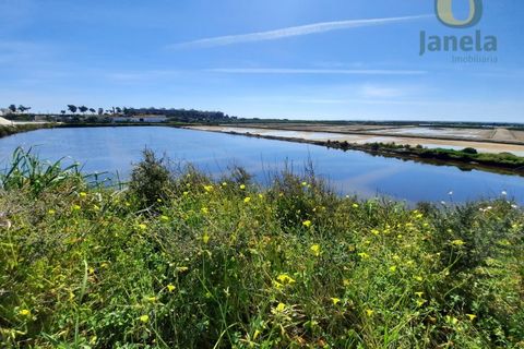 Farm i Olhao, Faro, Olhao - € 1.200.000 | Ref: QTA3750 - foto 14