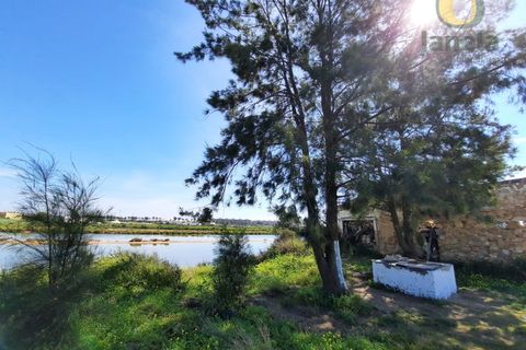 Farm i Olhao, Faro, Olhao - € 1.200.000 | Ref: QTA3750 - foto 15