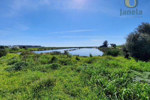 Farm i Olhao, Faro, Olhao - € 1.200.000 | Ref: QTA3750 - foto 16
