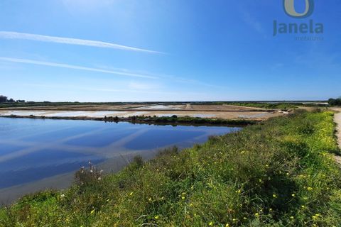 Farm i Olhao, Faro, Olhao - € 1.200.000 | Ref: QTA3750 - foto 17