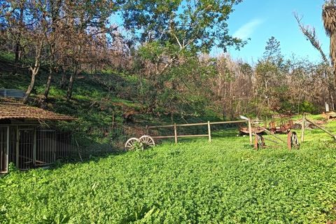 Terra a Angeja, Aveiro, Angeja - € 75.000 | Ref: AV25/011 - foto 3