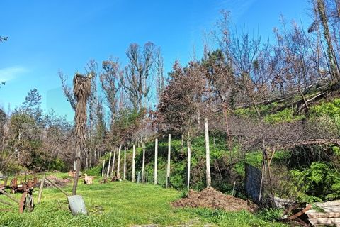 Terra a Angeja, Aveiro, Angeja - € 75.000 | Ref: AV25/011 - foto 5