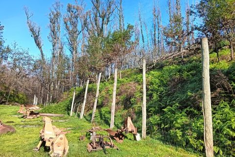 Terra a Angeja, Aveiro, Angeja - € 75.000 | Ref: AV25/011 - foto 8