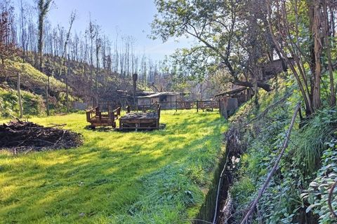 Terra a Angeja, Aveiro, Angeja - € 75.000 | Ref: AV25/011 - foto 11