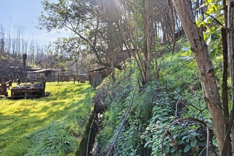 Terra a Angeja, Aveiro, Angeja - € 75.000 | Ref: AV25/011 - foto 12