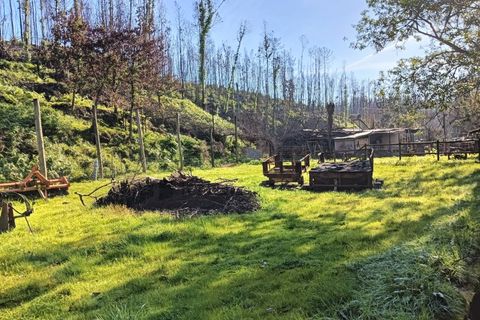 Terra a Angeja, Aveiro, Angeja - € 75.000 | Ref: AV25/011 - foto 13