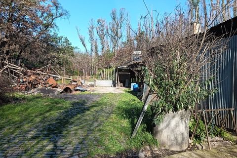 Terra a Angeja, Aveiro, Angeja - € 75.000 | Ref: AV25/011 - foto 20