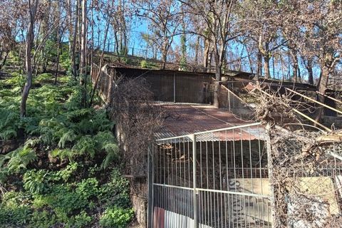 Terra a Angeja, Aveiro, Angeja - € 75.000 | Ref: AV25/011 - foto 21