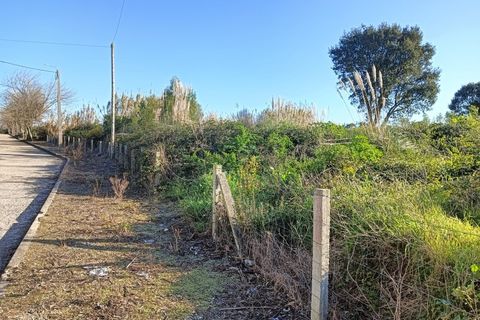 Helårsgrund i Aveiro, Aveiro, Aveiro - € 225.000 | Ref: AV25/041 - foto 5