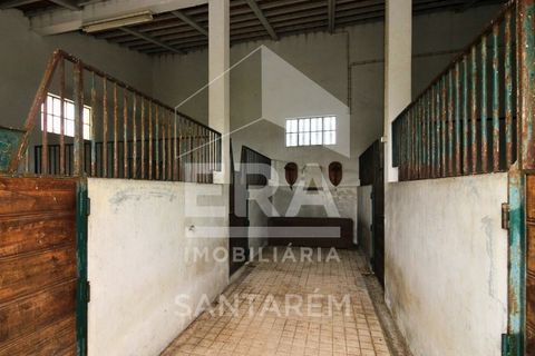 Villa i Vale de Santarem, Santarem, Vale de Santarem - € 750.000 | Ref: 11732 - foto 5