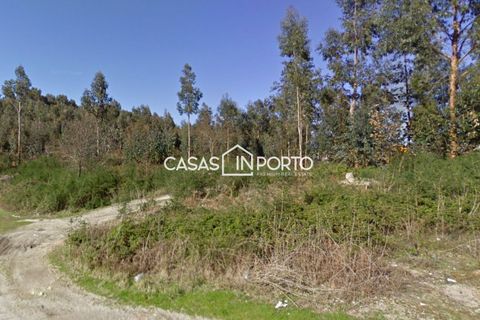 Helårsgrund i Lousada, Porto, Lousada - € 2.000.000 | Ref: Terreno_InLousada_4193 - foto 3