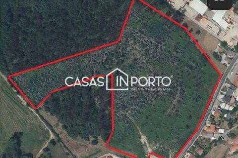Helårsgrund i Lousada, Porto, Lousada - € 2.000.000 | Ref: Terreno_InLousada_4193 - foto 5
