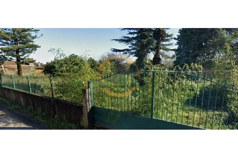 Helårsgrund i Anadia, Aveiro, Anadia - € 89.000 | Ref: T/0838 - foto 3