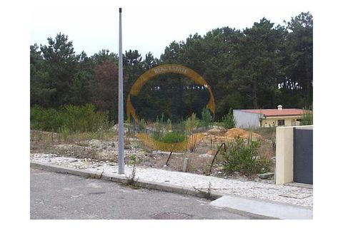 Helårsgrund i Ovar, Aveiro, Ovar - € 70.000 | Ref: T/0072 (1) - foto 2