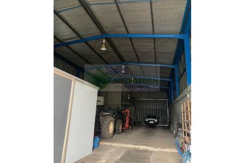 Erhvervsejendom i Sever do Vouga, Aveiro, Sever do Vouga - € 125.000 | Ref: MAG_1731 - foto 3