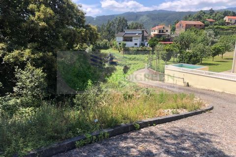 Helårsgrund i Sever do Vouga, Aveiro, Sever do Vouga - € 190.000 | Ref: TER_1689 - foto 2