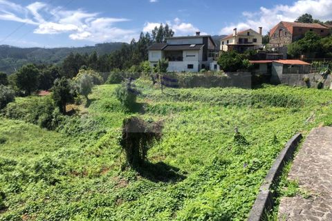 Helårsgrund i Sever do Vouga, Aveiro, Sever do Vouga - € 190.000 | Ref: TER_1689 - foto 3