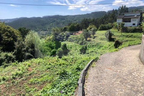 Helårsgrund i Sever do Vouga, Aveiro, Sever do Vouga - € 190.000 | Ref: TER_1689 - foto 4