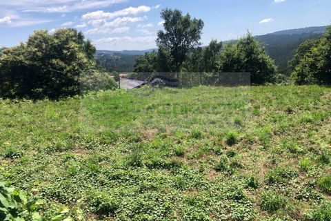 Helårsgrund i Sever do Vouga, Aveiro, Sever do Vouga - € 190.000 | Ref: TER_1689 - foto 8