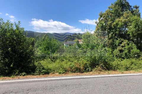 Helårsgrund i Sever do Vouga, Aveiro, Sever do Vouga - € 190.000 | Ref: TER_1689 - foto 10