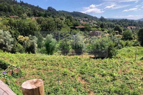 Helårsgrund i Sever do Vouga, Aveiro, Sever do Vouga - € 190.000 | Ref: TER_1689 - foto 11