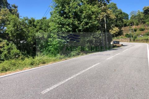Helårsgrund i Sever do Vouga, Aveiro, Sever do Vouga - € 190.000 | Ref: TER_1689 - foto 13