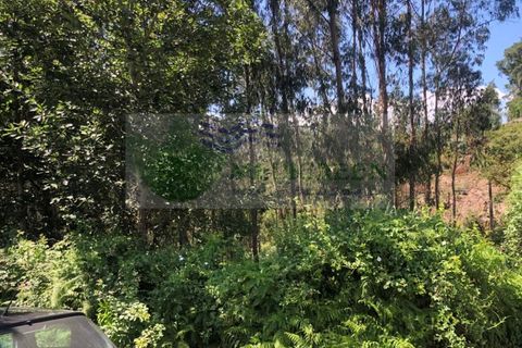Helårsgrund i Sever do Vouga, Aveiro, Sever do Vouga - € 190.000 | Ref: TER_1689 - foto 14