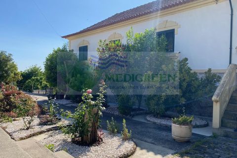 Villa i Sever do Vouga, Aveiro, Sever do Vouga - € 385.000 | Ref: CAS_1719 - foto 2
