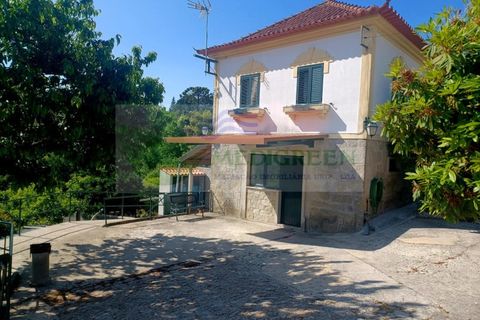 Villa i Sever do Vouga, Aveiro, Sever do Vouga - € 385.000 | Ref: CAS_1719 - foto 33