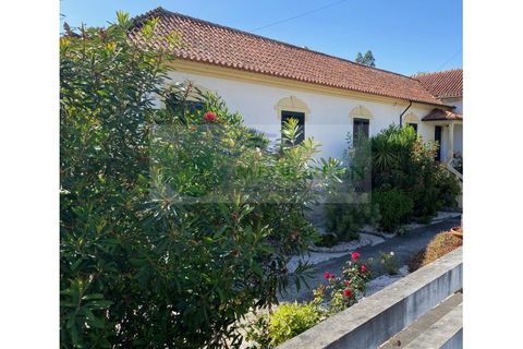 Villa i Sever do Vouga, Aveiro, Sever do Vouga - € 385.000 | Ref: CAS_1719 - foto 40