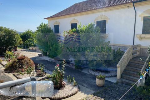 Villa i Sever do Vouga, Aveiro, Sever do Vouga - € 385.000 | Ref: CAS_1719 - foto 41
