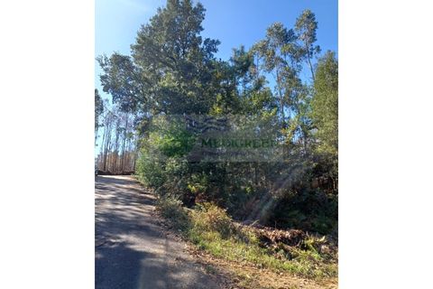 Helårsgrund i Sever do Vouga, Aveiro, Sever do Vouga - € 35.000 | Ref: TER_1712 - foto 6