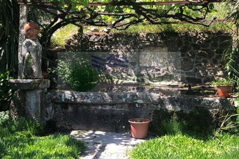 Villa i Sever do Vouga, Aveiro, Sever do Vouga - € 430.000 | Ref: CAS_1680 - foto 33