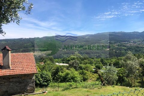 Villa i Sever do Vouga, Aveiro, Sever do Vouga - € 430.000 | Ref: CAS_1680 - foto 38