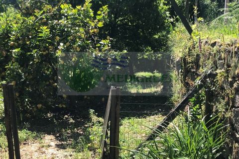 Villa i Sever do Vouga, Aveiro, Sever do Vouga - € 430.000 | Ref: CAS_1680 - foto 50