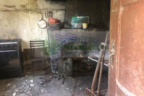 Haus in Sever do Vouga, Aveiro, Sever do Vouga - € 70.000 | Ref: CAS_1654 - Foto 12