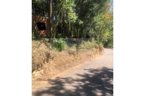 Farm i Sever do Vouga, Aveiro, Sever do Vouga - € 10.000 | Ref: FIN_1690 - foto 2