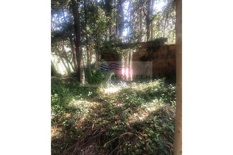 Farm i Sever do Vouga, Aveiro, Sever do Vouga - € 10.000 | Ref: FIN_1690 - foto 3