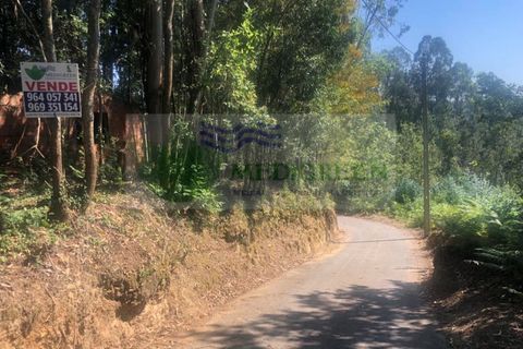 Farm i Sever do Vouga, Aveiro, Sever do Vouga - € 10.000 | Ref: FIN_1690 - foto 4