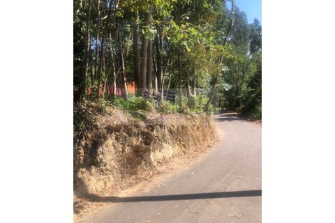 Farm i Sever do Vouga, Aveiro, Sever do Vouga - € 10.000 | Ref: FIN_1690 - foto 5