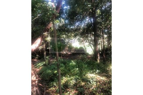 Farm i Sever do Vouga, Aveiro, Sever do Vouga - € 10.000 | Ref: FIN_1690 - foto 7