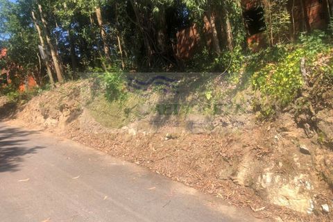 Farm i Sever do Vouga, Aveiro, Sever do Vouga - € 10.000 | Ref: FIN_1690 - foto 8